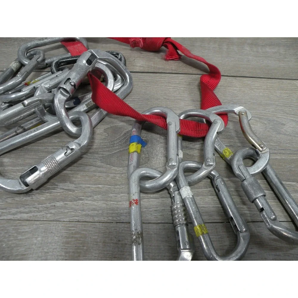 Lot of 16 Vintage Climbing Carabiners Mixed Black Diamond Kong D-Shape Screwgate